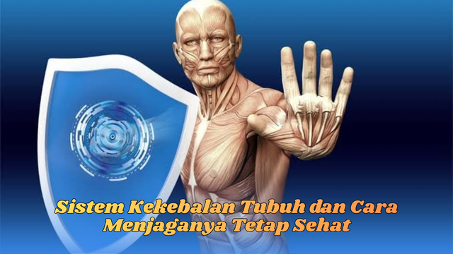 Sistem Kekebalan Tubuh dan Cara Menjaganya Tetap Sehat